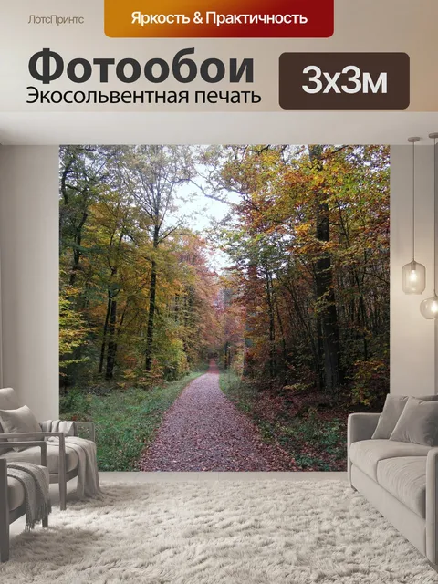 Фотообои Дорожка