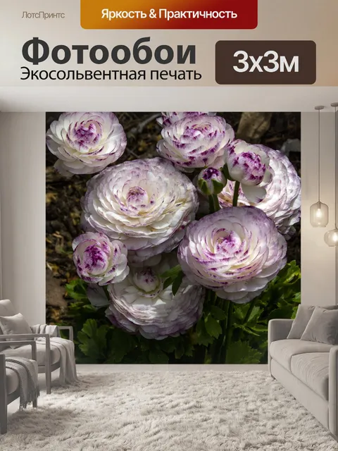 Фотообои Теколоте Гигантский Лютик
