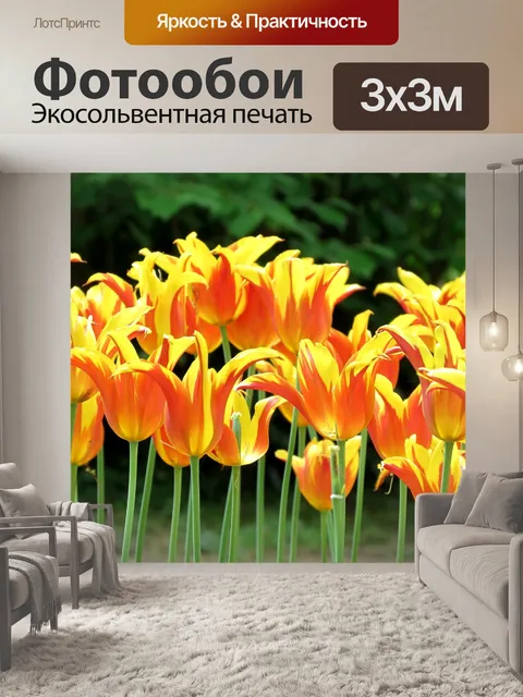Фотообои Тюльпаны