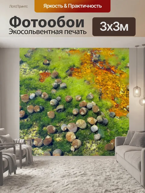 Фотообои Морские улитки