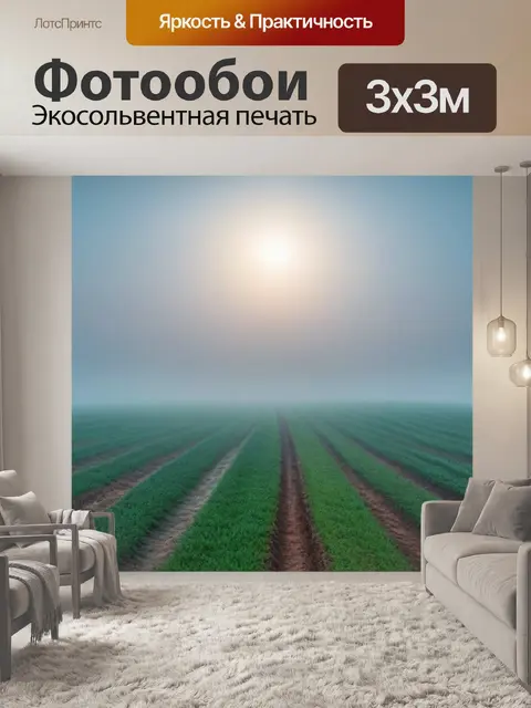 Фотообои легкий туман над полем