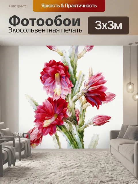 Фотообои Кактус винтаж искусство старый