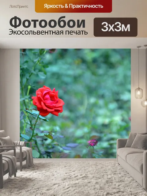 Фотообои Одной розы