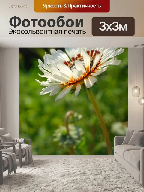 Фотообои Цветок