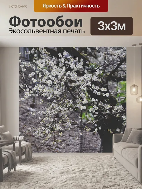 Фотообои Цветок сливы