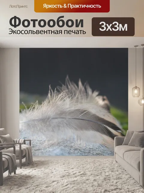 Фотообои Перо