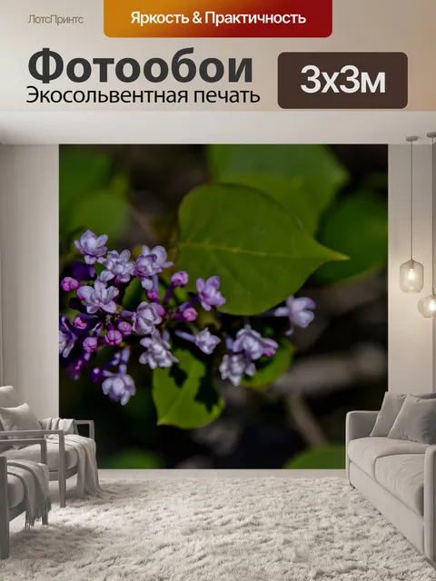 Фотообои Сиреневые цветные цветы