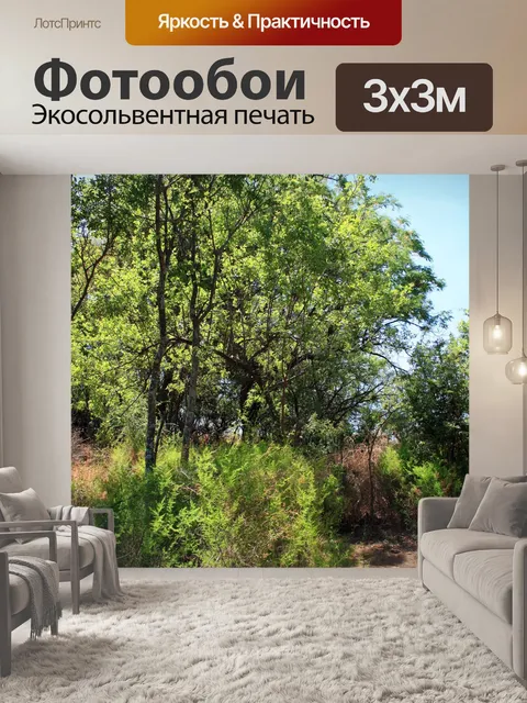 Фотообои деревья на тропе