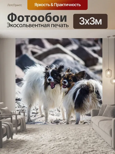 Фотообои Две собаки