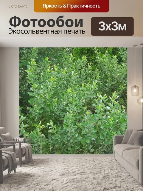Фотообои Густая листва