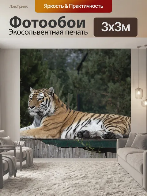 Фотообои Тигр