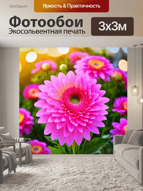 Фотообои цветы в стиле боке, пышные розовые хризантемы с мягкими кругами света вокруг