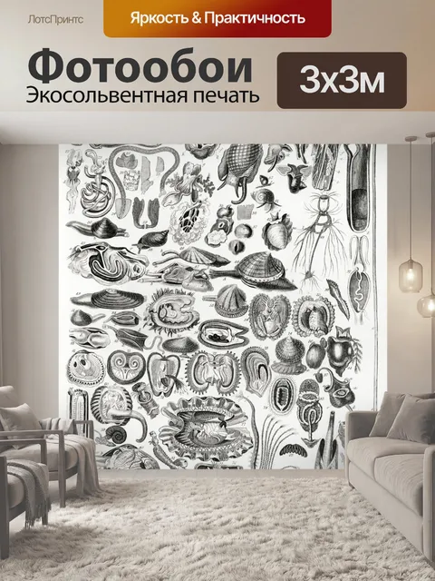 Фотообои Ракушки винтаж искусство старый