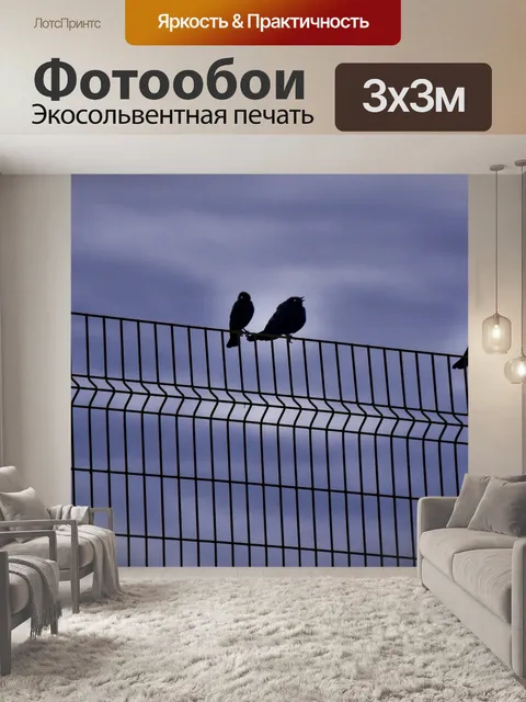 Фотообои Черные птицы