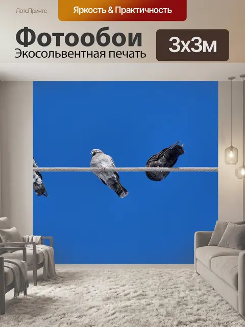 Фотообои Птицы