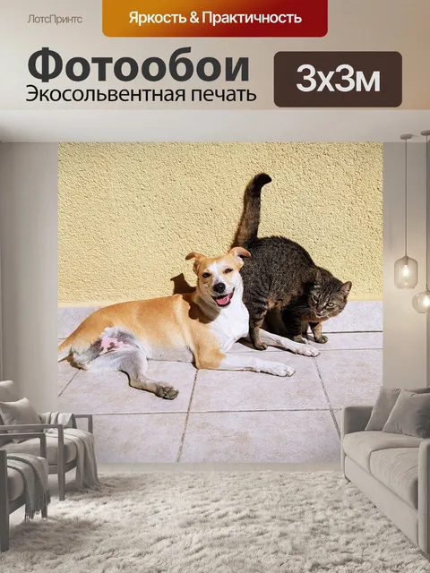 Фотообои Домашние питомцы