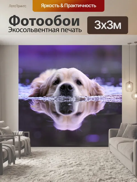 Фотообои Собака