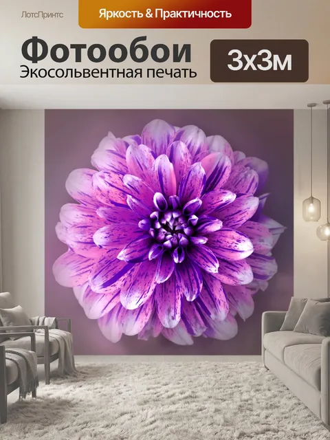 Фотообои Цветок георгина фото