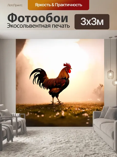 Фотообои петух, расправляющий свои яркие перья на фоне утреннего тумана, где игра света создает интересные тени