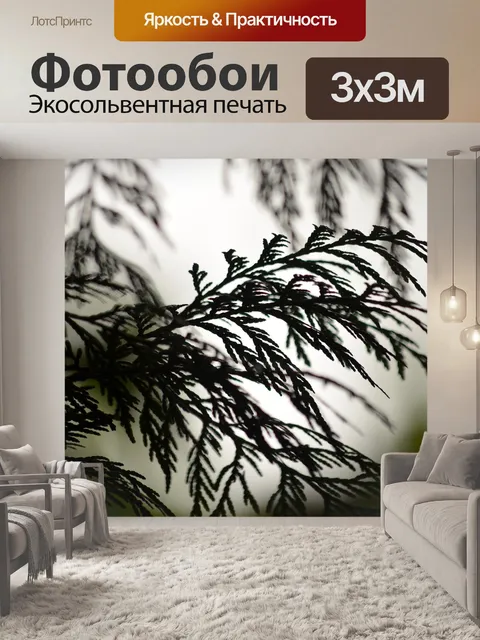 Фотообои Кедр