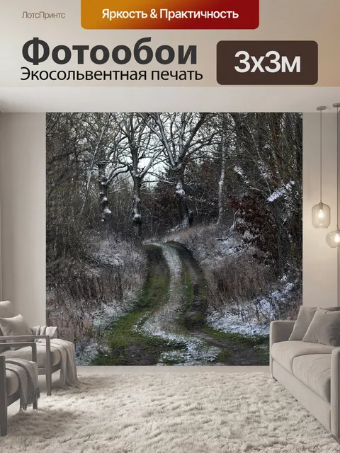 Фотообои Путь