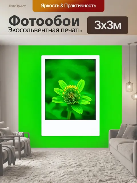 Фотообои зеленые в стиле полароидная фотография