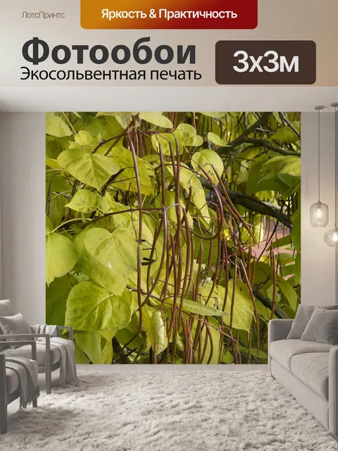 Фотообои Труба