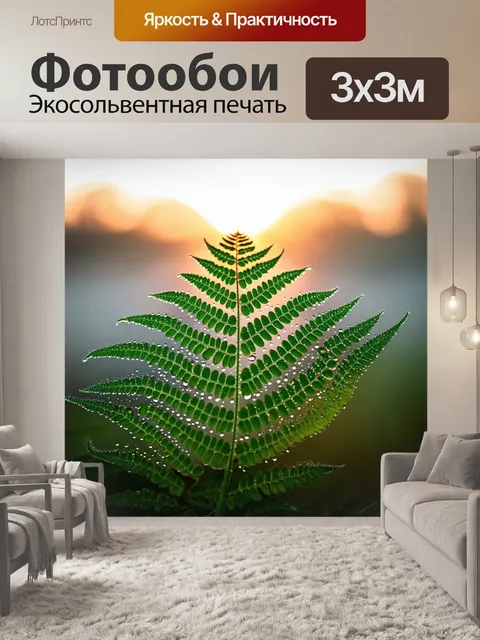 Фотообои папоротник, укрытый утренней росой, капли которой сверкают как алмазы, на фоне восходящего солнца и тумана