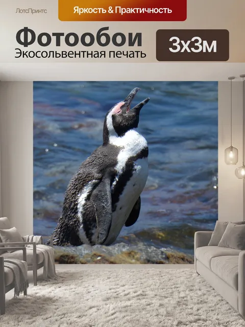 Фотообои Пингвин