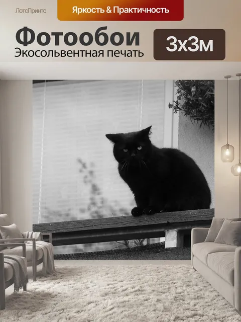 Фотообои Черная кошка