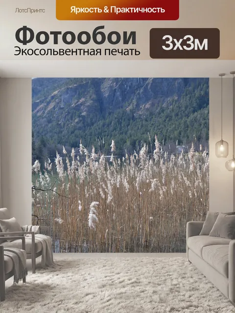 Фотообои Озеро