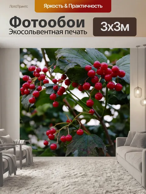 Фотообои Рябина