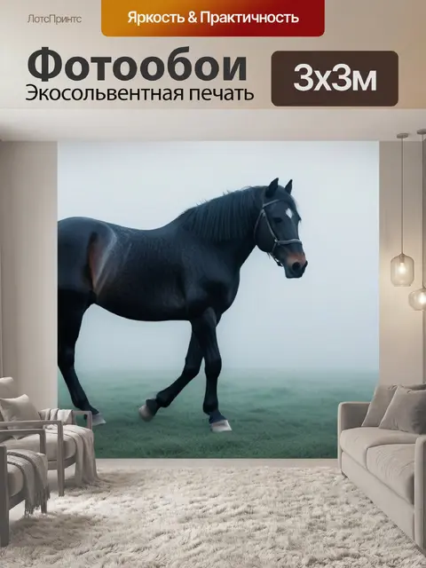 Фотообои черная лошадь в тумане
