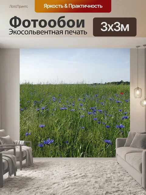 Фотообои Васильки