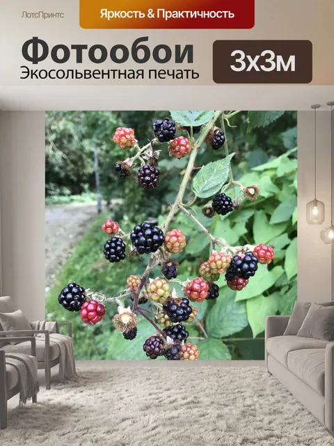 Фотообои Ягода