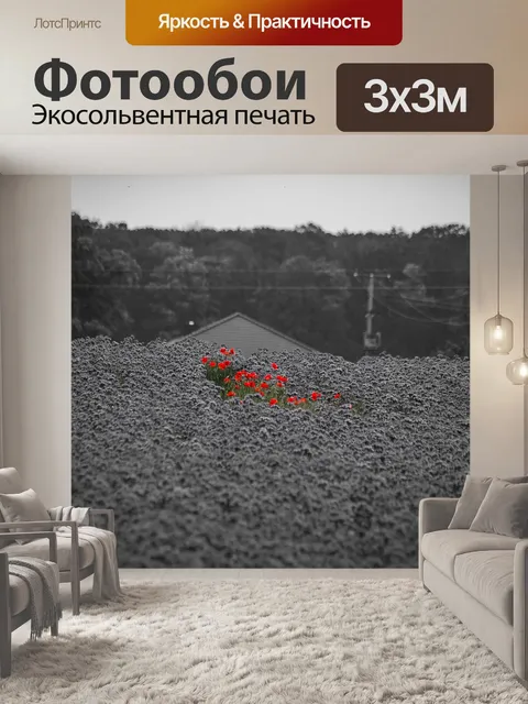 Фотообои Мак