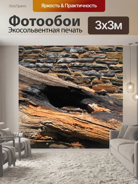 Фотообои сухостой против каменной стеной