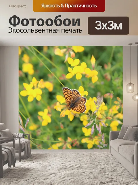 Фотообои Бабочка