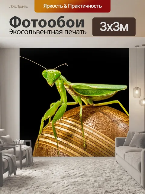 Фотообои Богомол