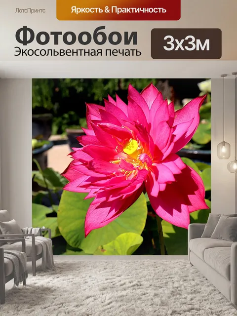 Фотообои Lotus