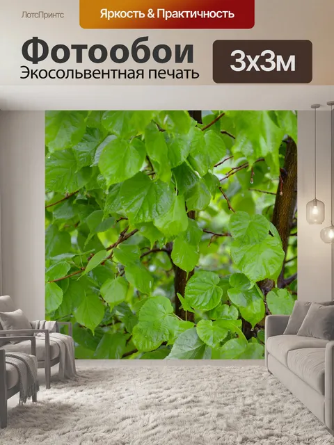 Фотообои Зеленое дерево после дождя