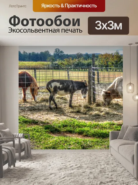 Фотообои Домашний скот