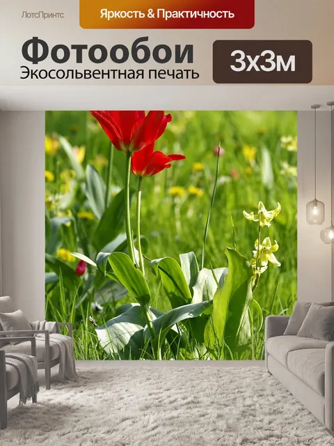 Фотообои Тюльпаны