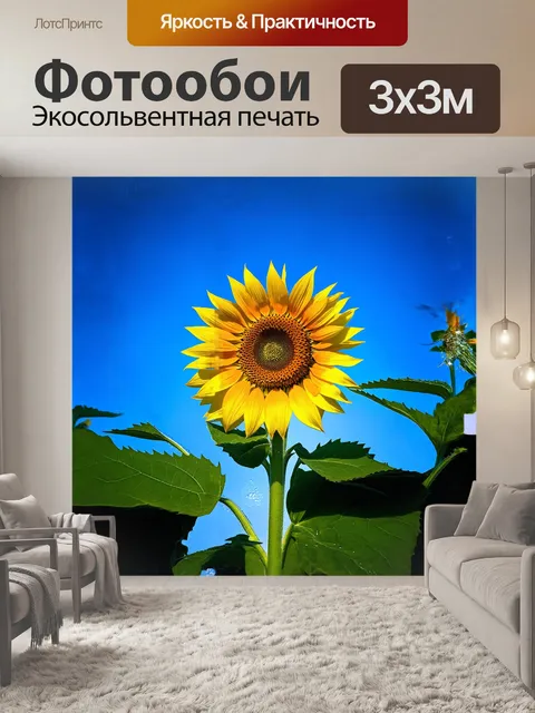 Фотообои подсолнечник, величественный и яркий цветок, возвышается на фоне голубого неба, его лепестки сверкают на…