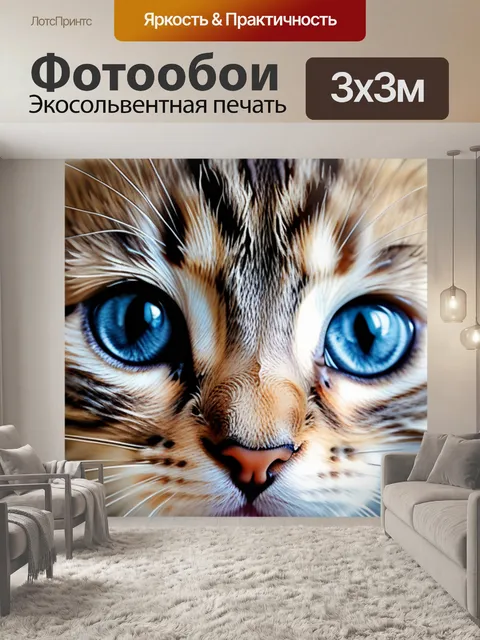 Фотообои с котенком