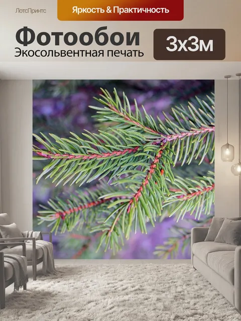 Фотообои Еловая ветка