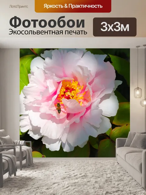 Фотообои Пчела на пион