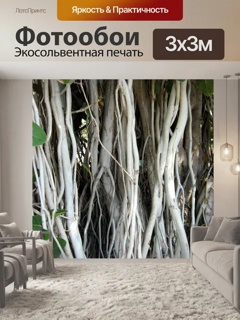 Фотообои Корни Fig Tree