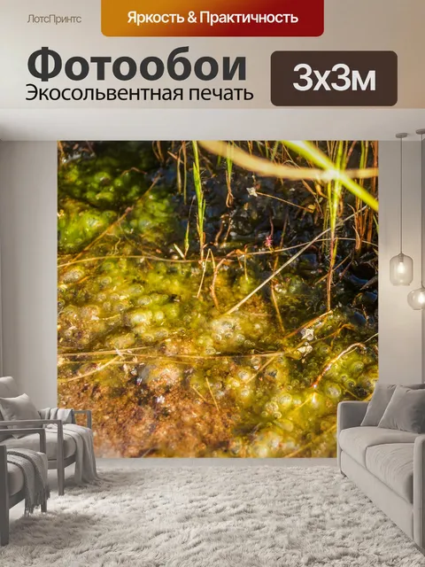 Фотообои Трава цветочное поле, полевые цветы