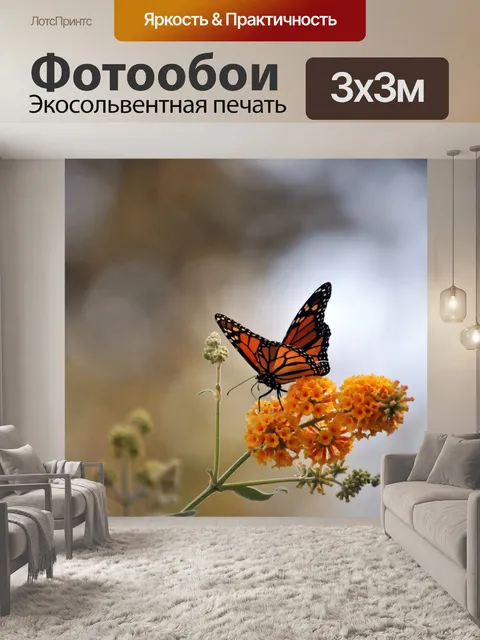 Фотообои Бабочка монарх на желтые цветы